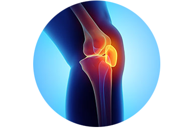 KNEE