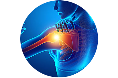 SHOULDER